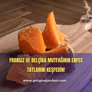 Lille gezisi