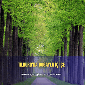 Tilburg gezilecek yerler