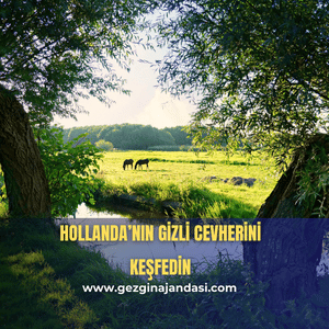 Tilburg gezisi